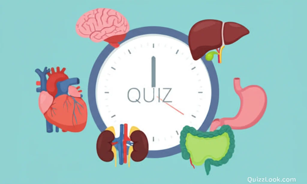 Timed Challenge: Name That Organ!