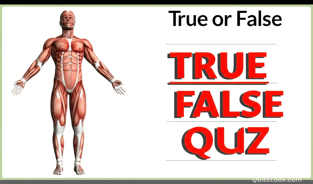 True or False: Human Body Edition